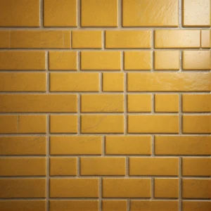 ��� ��� �� ����